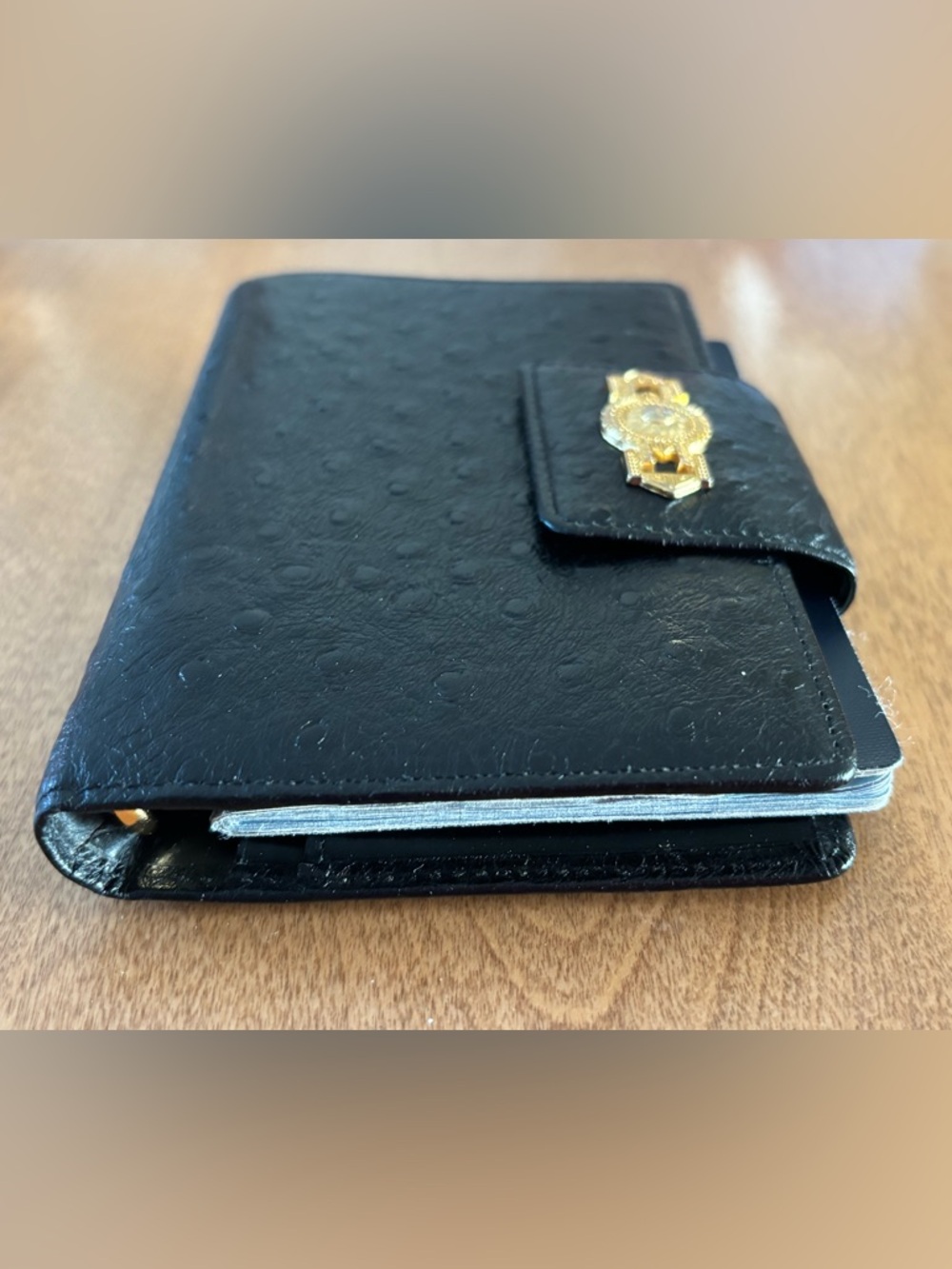 Gianni Versace Vintage Sunburst Organizer/Planner, Black Ostrich, VGVC - Picture 14 of 16